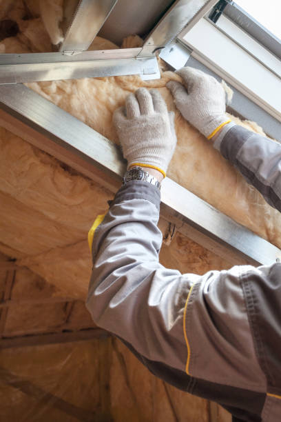 Best Residential Insulation in Spanish Lake, MO