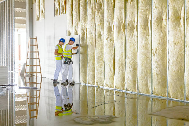 Best Types of Insulation in Spanish Lake, MO